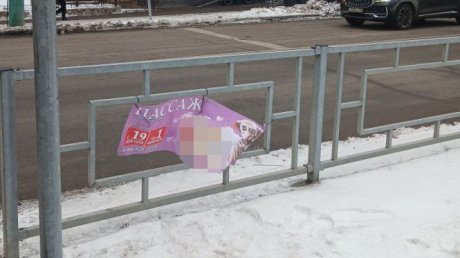 Реклама выставки в Пензе испортила облик города