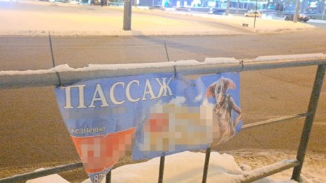 Реклама выставки в Пензе испортила облик города