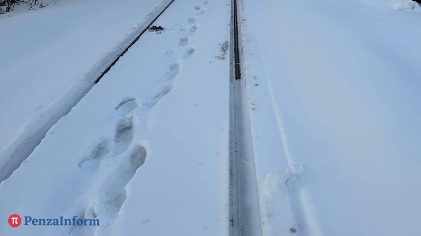 30-31 декабря увеличится составность пригородных поездов