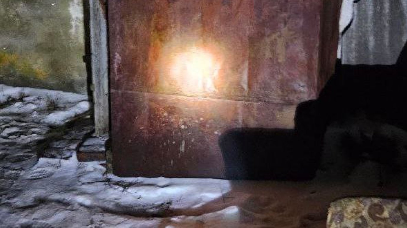 В Мокшанском районе насмерть замерз избитый мужчина