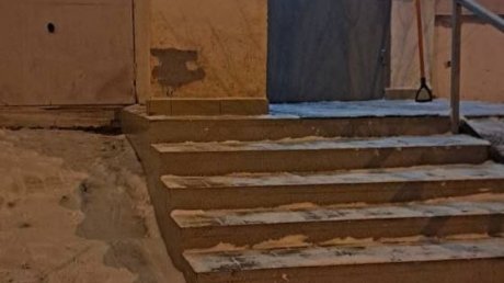 Глава Пензы рассказал о своей очереди помогать дворнику