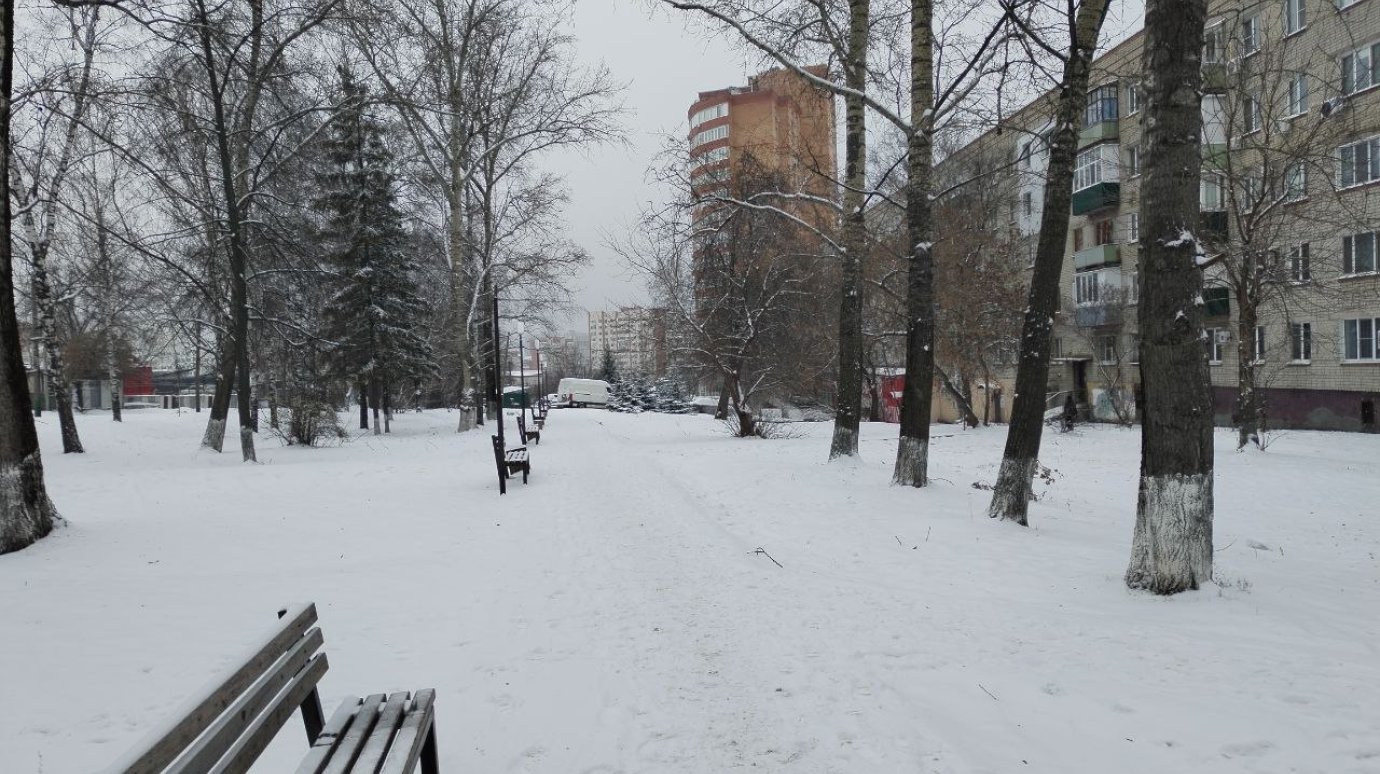 28 декабря в Пензенской области вновь ожидается снегопад