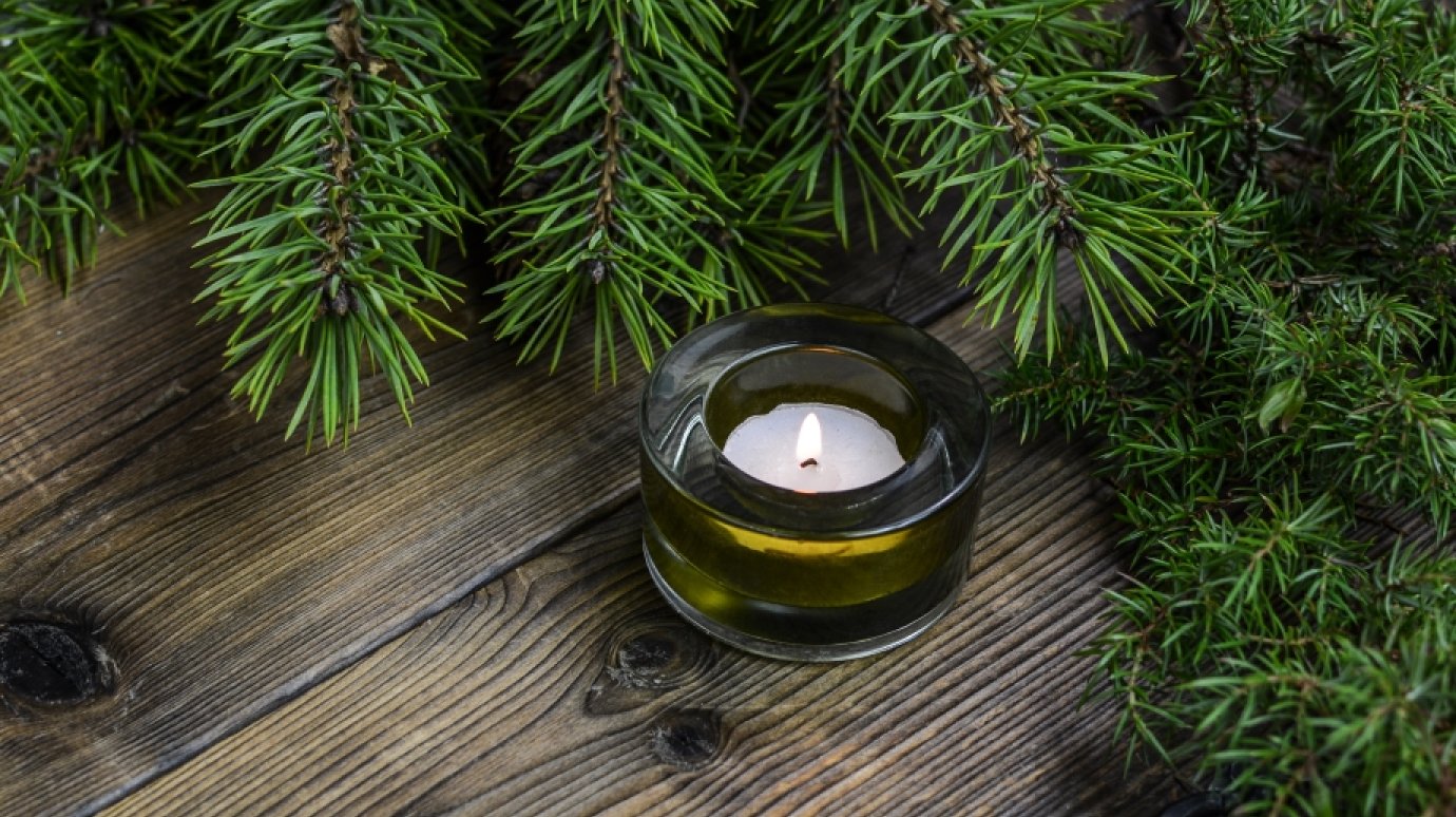 Названы три главные опасности живой елки дома