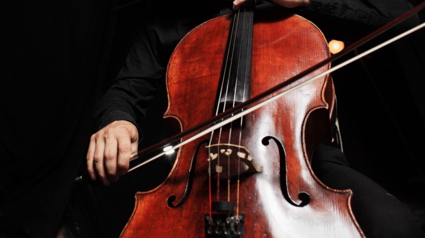 29 декабря - Международный день виолончели