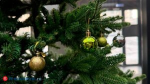 Опубликован график работы офисов  «ТНС энерго Пенза» в праздники