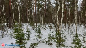 В Золотаревке завершились поиски 18-летней девушки