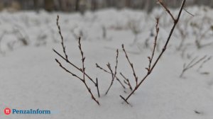 Прогноз на неделю: в Пензенской области станет холоднее