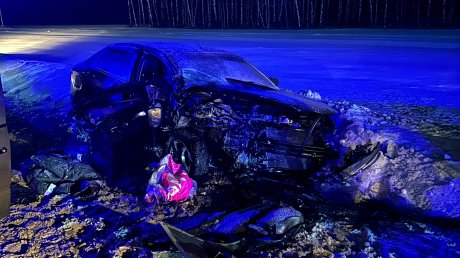 Появились фотографии с места смертельного ДТП под Богословкой