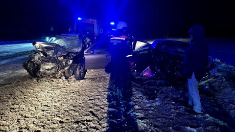 Появились фотографии с места смертельного ДТП под Богословкой