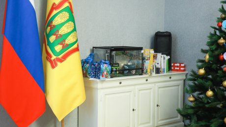 «Елка желаний»: губернатор рассказал о самом оригинальном подарке