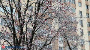 В первый день 2026 года в Пензенской области похолодает