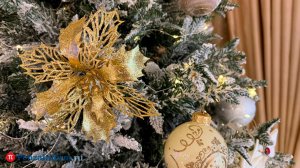 Долина озвучила главное новогоднее желание