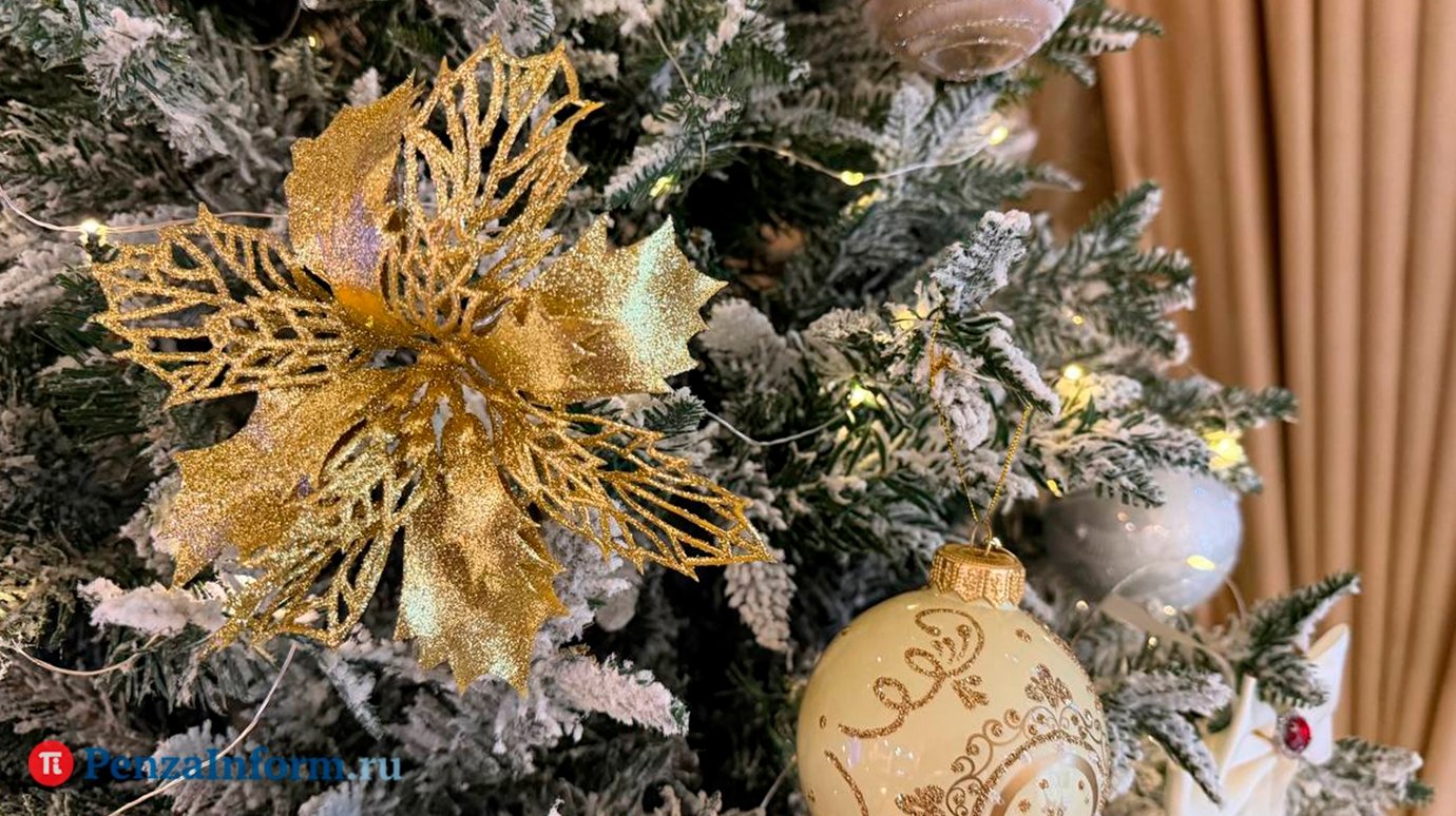 Долина озвучила главное новогоднее желание