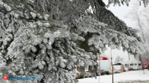 2 января в Пензенской области будет идти небольшой снег