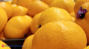 Россиянам раскрыли способы восстановить нервную систему за праздники