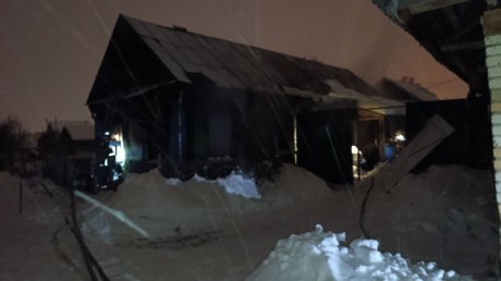 В поселке Лунино при пожаре погибли три человека