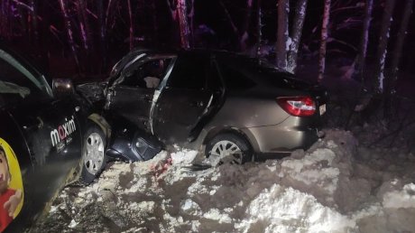 В Никольском районе в ДТП с такси пострадали 4 человека