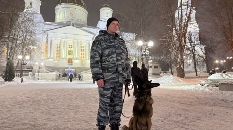 В регионе подвели итоги охраны порядка в Новый год и на Рождество
