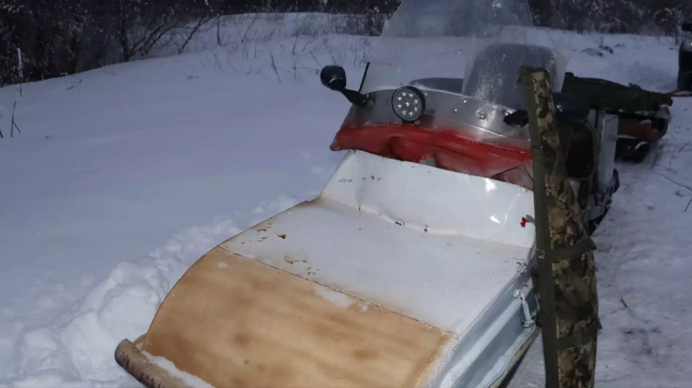 В Лунинском районе наказали убийцу косули