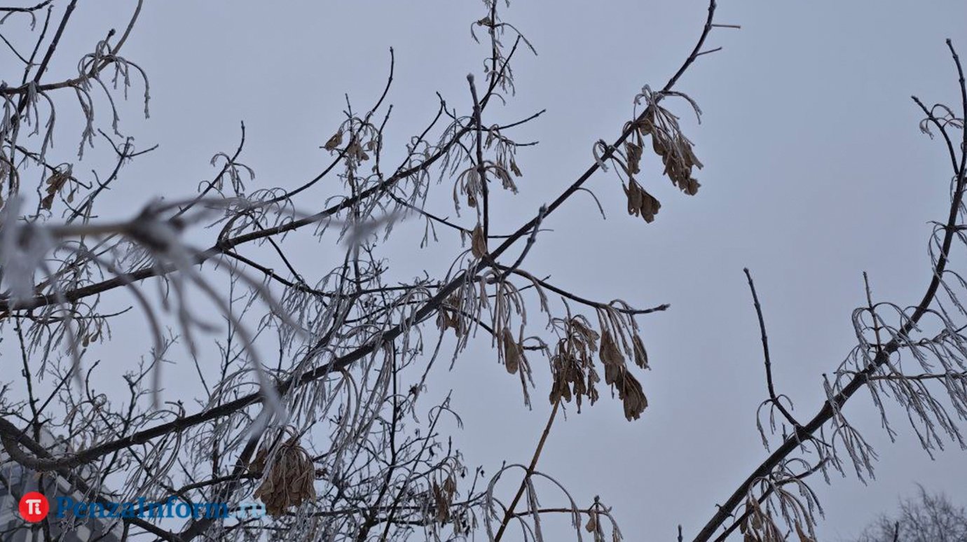 В Пензенской области ожидаются аномальные морозы