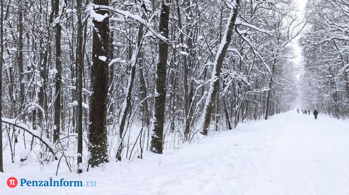 Опубликован прогноз погоды в Пензенской области на 21 января