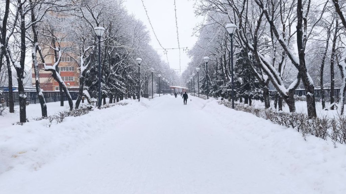 23 января в Пензенской области будет морозно