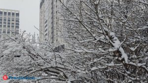 24 января в Пензенской области похолодает до -30 градусов