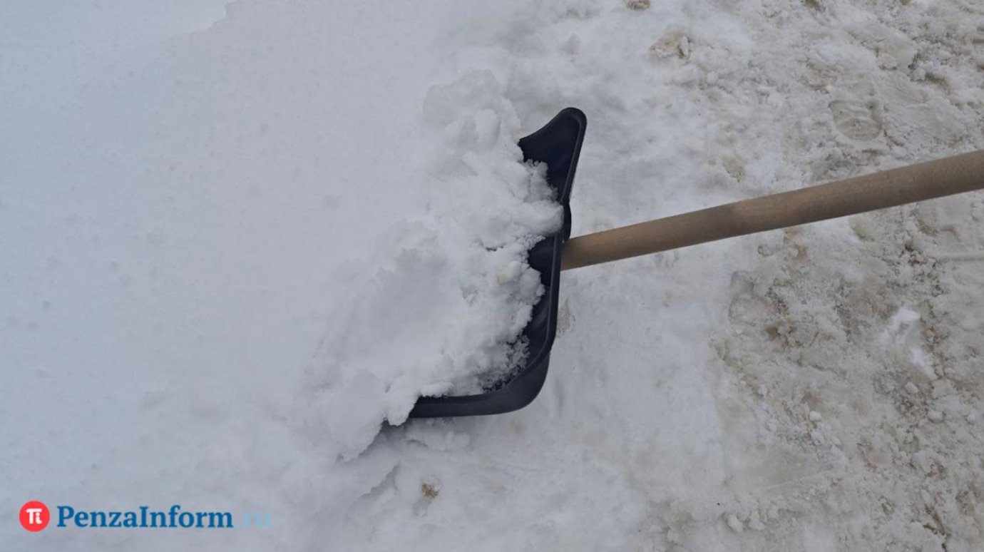 Кузнечанин, недовольный уборкой снега, выстрелил в соседа