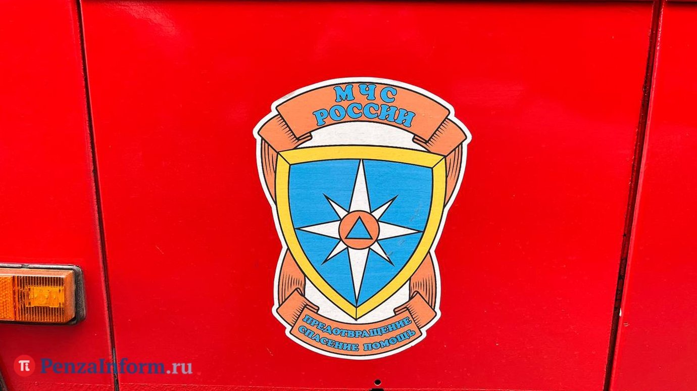 В поселке Башмаково при пожаре пострадала женщина