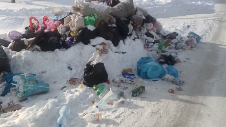 Не вывозили с прошлого года: Верхний Ломов завалило мусором