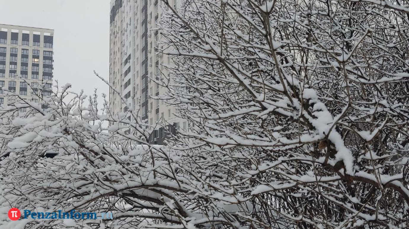 30 января в Пензенской области будет снежно и ветрено