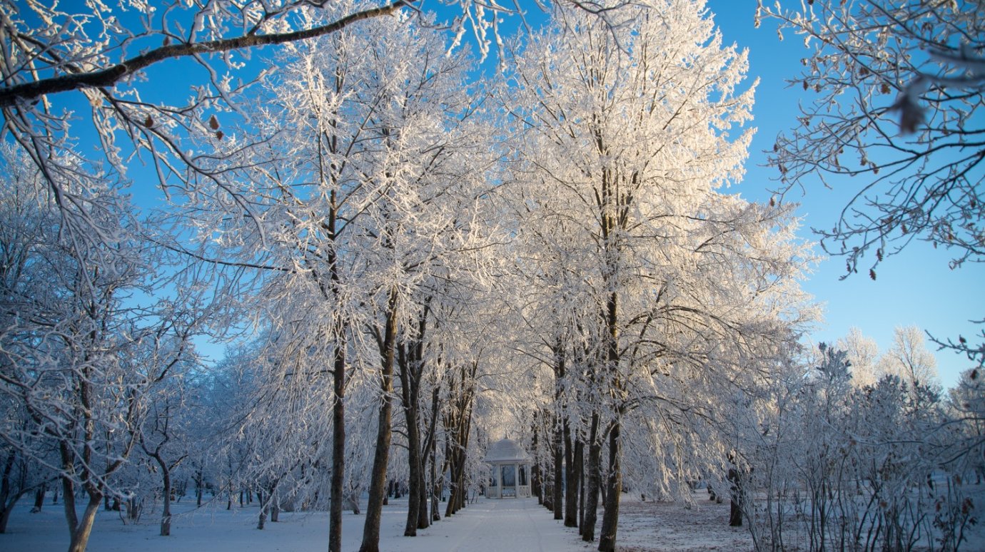 В «Тарханах» собираются восстановить Дальний сад
