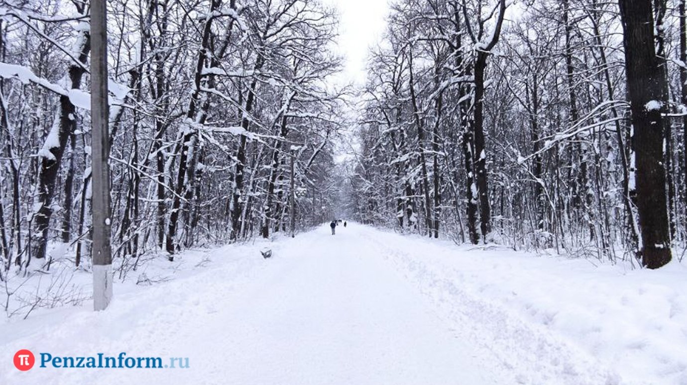 В выходные Пензенскую область продолжит засыпать снегом