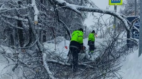 В мэрии планируют расчистить улицы Пензы до понедельника