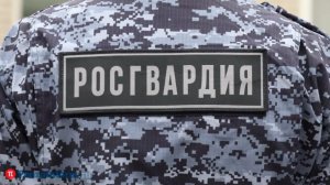 В Пензе 3 женщины устроили дебош в баре из-за музыки