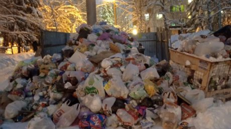 В Пензе объяснили, почему прекратился вывоз мусора