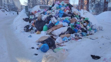 В Пензе объяснили, почему прекратился вывоз мусора
