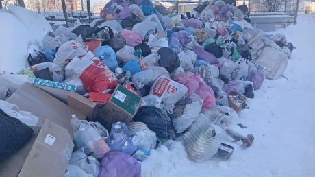 В Пензе объяснили, почему прекратился вывоз мусора