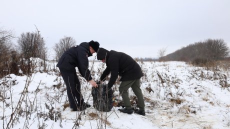 У жителя Мокшанского района нашли свыше 75 кг марихуаны