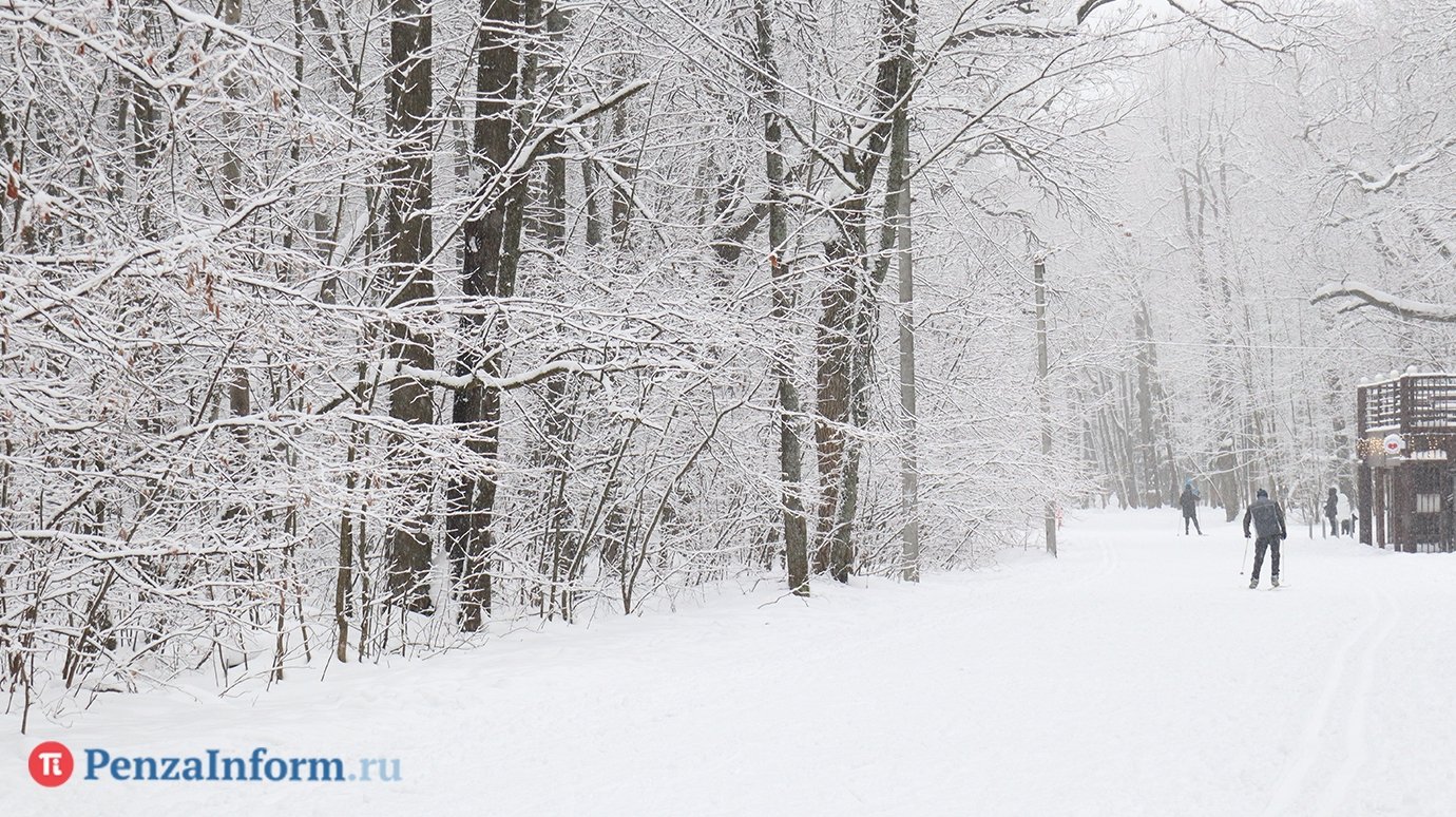 8 февраля в Пензенской области ожидается метель