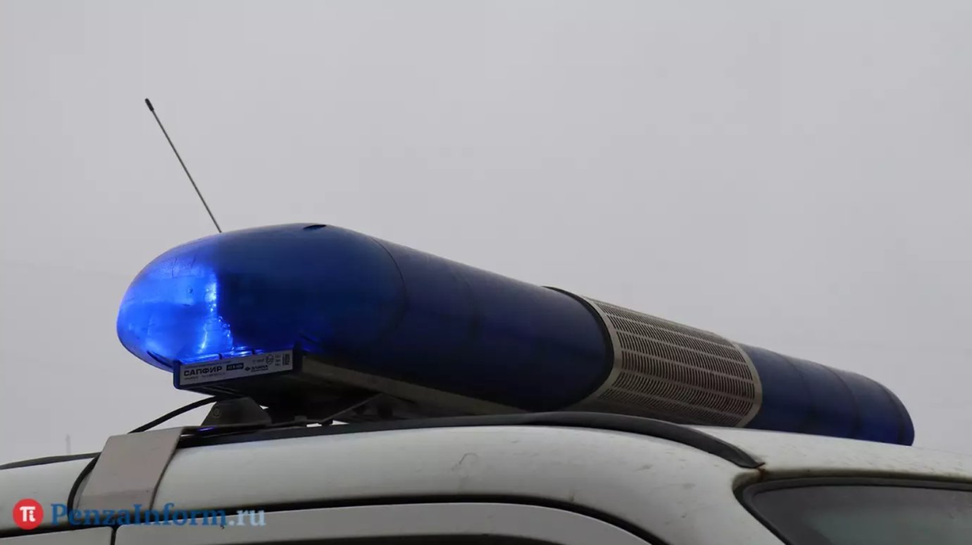 В Шемышейском районе при пожаре погиб 40-летний мужчина