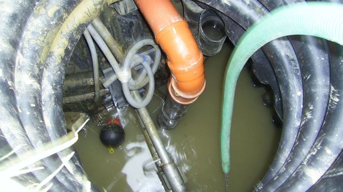 Названы самые необычные находки в канализации в 2025 году