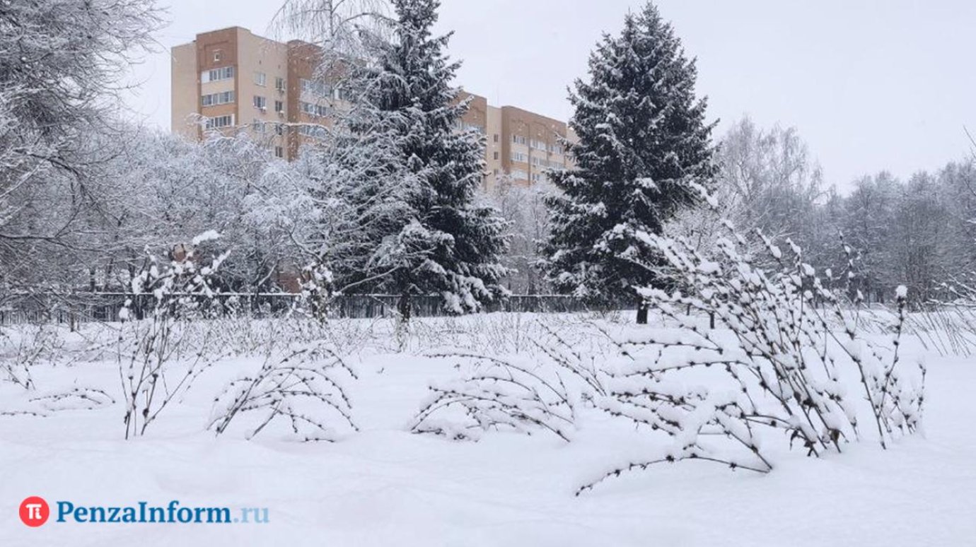 9 февраля в Пензенскую область придет похолодание