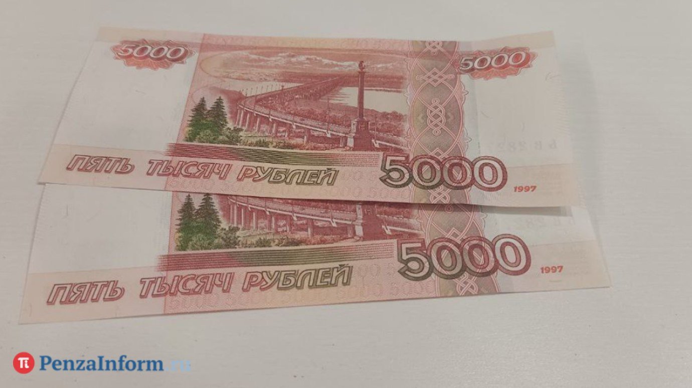 Жителя Пензы оштрафовали за страдания чихуахуа