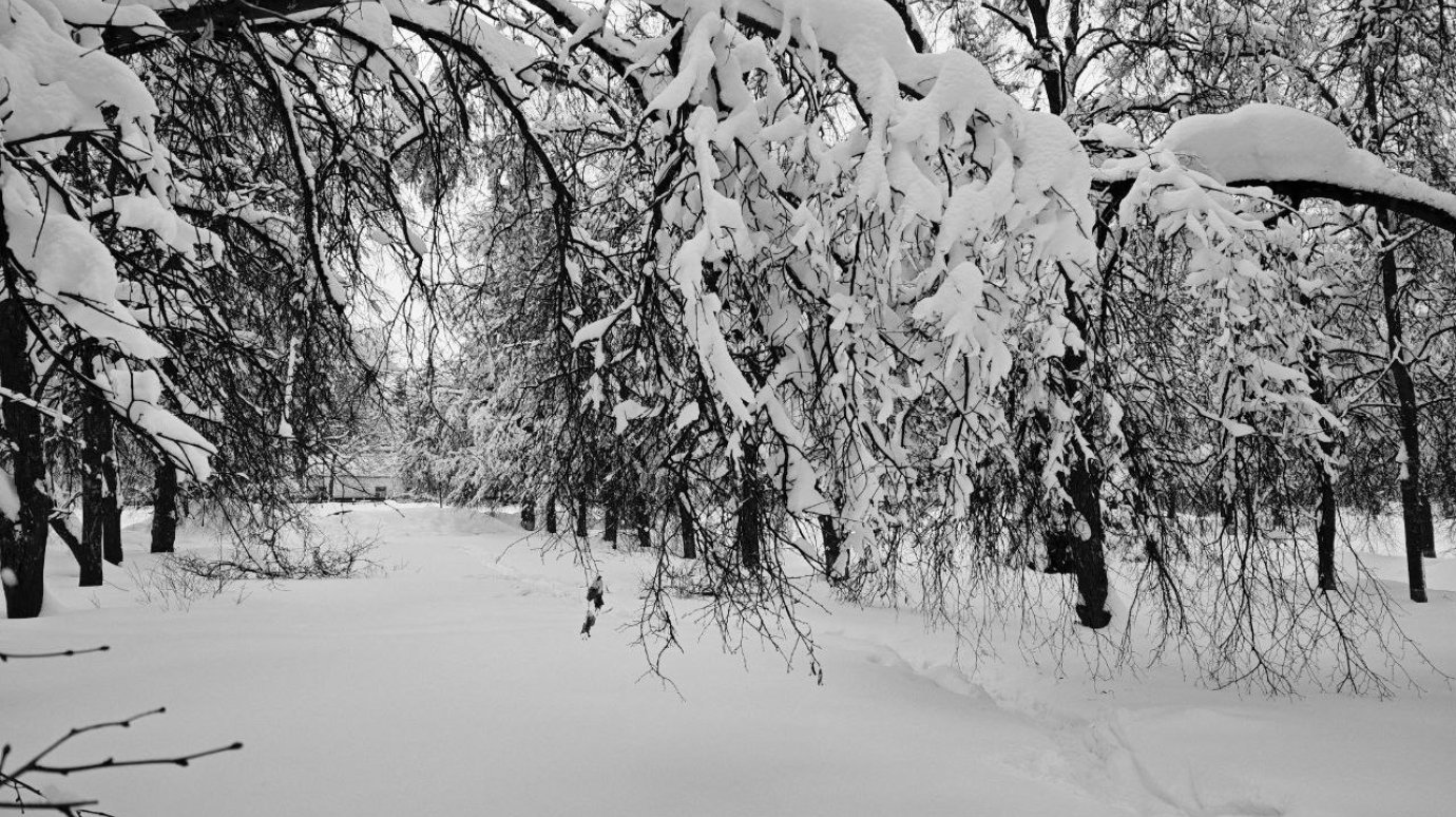 Опубликован прогноз погоды в Пензенской области на 10 февраля