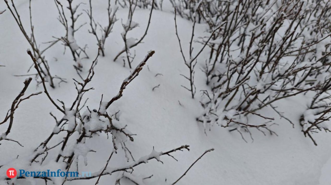 Врач дал несколько советов любителям есть снег