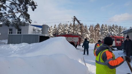 На станции Асеевской выгорели гараж и ВАЗ-2115