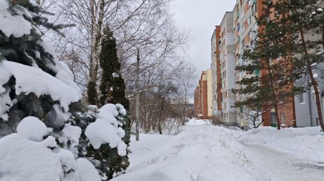 Оттепель и сильный снег: погода готовит пензенцам новые испытания