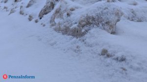 Иначе задохнется: назван объем снежной свалки в Пензе