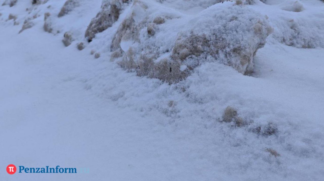 Иначе задохнется: назван объем снежной свалки в Пензе